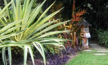 Landscaping Solutions Tropical Landscaping Kwikfynd